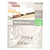 Profi Depot Feinsicherung (T - Träge, 3,15 A, 4 Stk.)