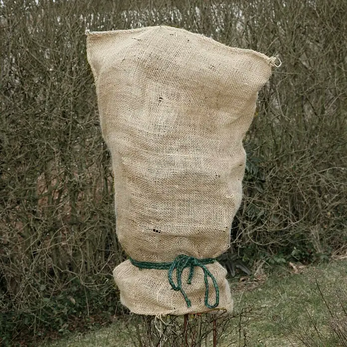 Floraworld Classic Gartensack - Natur, 105 cm - Dieser Jutesack schützt Ihre Pflanzen vor Frost und Kälte. Eine grüne Kordel hält den Sack sicher an der Pflanze.