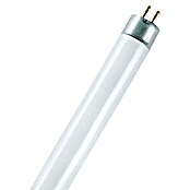 Osram Tubo fluorescente (T5, Blanco neutro, 8 W, Largo: 29 cm, Clase de eficiencia energética: A)