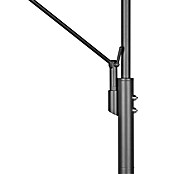 Trio Leuchten Franklin LED-Stehleuchte (35 W, Höhe: 181 cm, Anthrazit, Mehrfarbig) | BAUHAUS