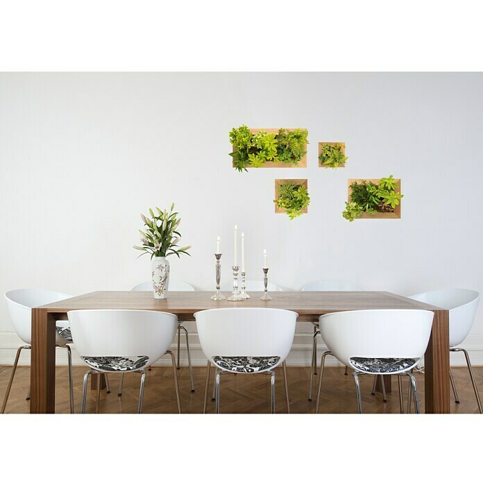 Vinilo de pared (Plantas verdes, 48 x 68 cm)