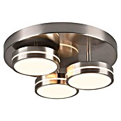 Trio Leuchten Franklin LED-Deckenleuchte rund (24 W, Ø x H: 35 x 13 cm, Nickel, Warmweiß) | BAUHAUS