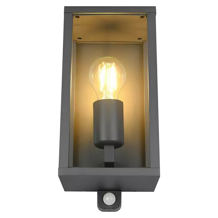 Trio Leuchten Garonne Außenwandleuchte - 60 W, L x B x H: 13,5 x 14 x 29 cm, Anthrazit, IP44, Mit Bewegungsmelder - Dunkelgraue Außenwandleuchte mit leuchtender LED-Glühlampe und Bewegungssensor.