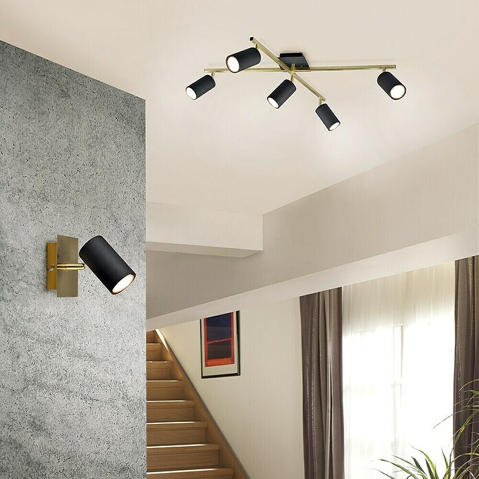 Trio Leuchten Marley Deckenstrahler (175 W, L x B x H: 57,4 x 77,4 x 22,4 cm, Schwarz/Gold, GU10) | BAUHAUS