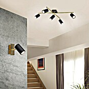 Trio Leuchten Marley Deckenstrahler (175 W, L x B x H: 57,4 x 77,4 x 22,4 cm, Schwarz/Gold, GU10) | BAUHAUS