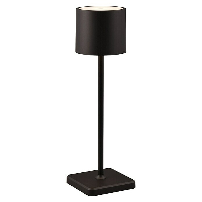 Reality Leuchten Accu-tafellamp Fernandez - oplaadbare lamp (1 W, l x b x h: 12,5 x 12,5 x 38 cm, Zwart, Meerkleurig) | BAUHAUS
