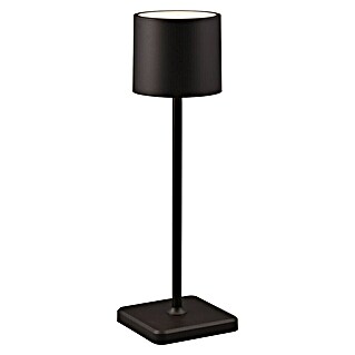 Reality Leuchten Accu-tafellamp FERNANDEZ (1 W, l x b x h: 12,5 x 12,5 x 38 cm, Zwart, Meerkleurig)