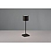Reality Leuchten Accu-tafellamp Fernandez - oplaadbare lamp (1 W, l x b x h: 12,5 x 12,5 x 38 cm, Zwart, Meerkleurig) | BAUHAUS