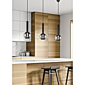 Trio Leuchten Pendelleuchte Clayton (1 Stk., 28 W, Chrom, Schwarz, E27) | BAUHAUS