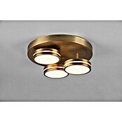 Trio Leuchten Franklin LED-Deckenleuchte rund (24 W, Ø x H: 35 x 13 cm, Altmessing, Warmweiß) | BAUHAUS