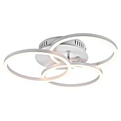 Reality Leuchten LED-Deckenleuchte Circle (27 W, L x B x H: 43,5 x 43,5 x 9,5 cm, Weiß, Mehrfarbig) | BAUHAUS