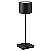 Reality Leuchten Accu-tafellamp Fernandez - oplaadbare lamp (1 W, l x b x h: 12,5 x 12,5 x 38 cm, Zwart, Meerkleurig) | BAUHAUS