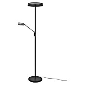 Trio Leuchten Franklin LED-Stehleuchte (35 W, Höhe: 181 cm, Anthrazit, Mehrfarbig) | BAUHAUS