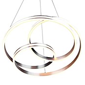 Trio Leuchten Nuria LED-Pendelleuchte rund (60 W, Ø x H: 60 x 150 cm, Nickel, Mehrfarbig) | BAUHAUS