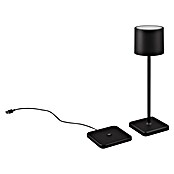Reality Leuchten Accu-tafellamp Fernandez - oplaadbare lamp (1 W, l x b x h: 12,5 x 12,5 x 38 cm, Zwart, Meerkleurig) | BAUHAUS