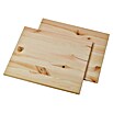 Regalux Regaltür & Rückwand-Set (41,5 x 34,5 cm, Nadelholz)