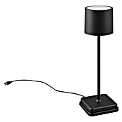 Reality Leuchten Accu-tafellamp Fernandez - oplaadbare lamp (1 W, l x b x h: 12,5 x 12,5 x 38 cm, Zwart, Meerkleurig) | BAUHAUS