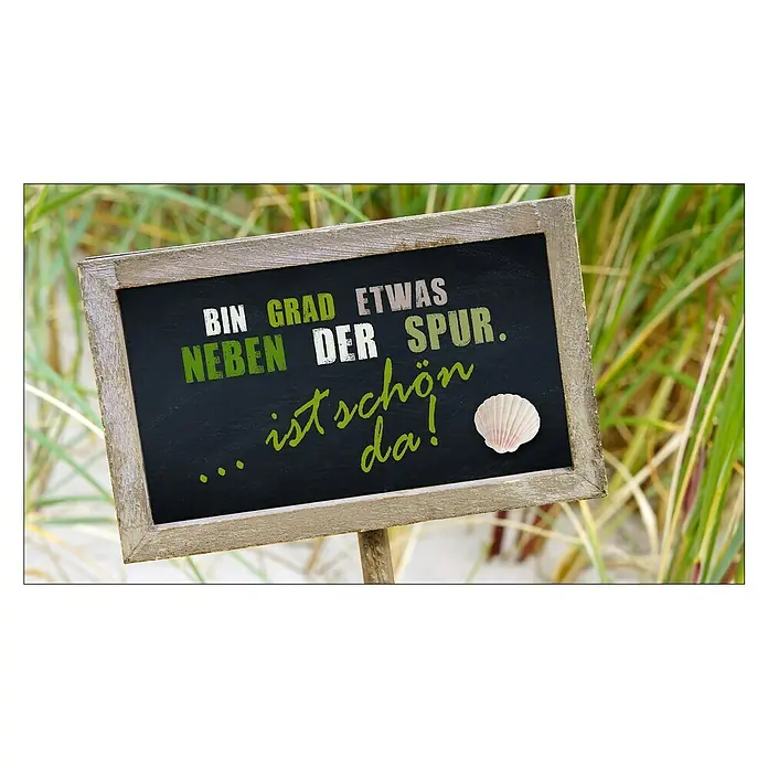 ProArt Type Hype Decopanel - Bin grad etwas neben der Spur .., B x H: 30 x 15 cm - Ein dekoratives Schild mit der Aufschrift "Bin grad etwas neben der Spur… ist schön da!" und einer Muschel, ideal für maritime Akzente.