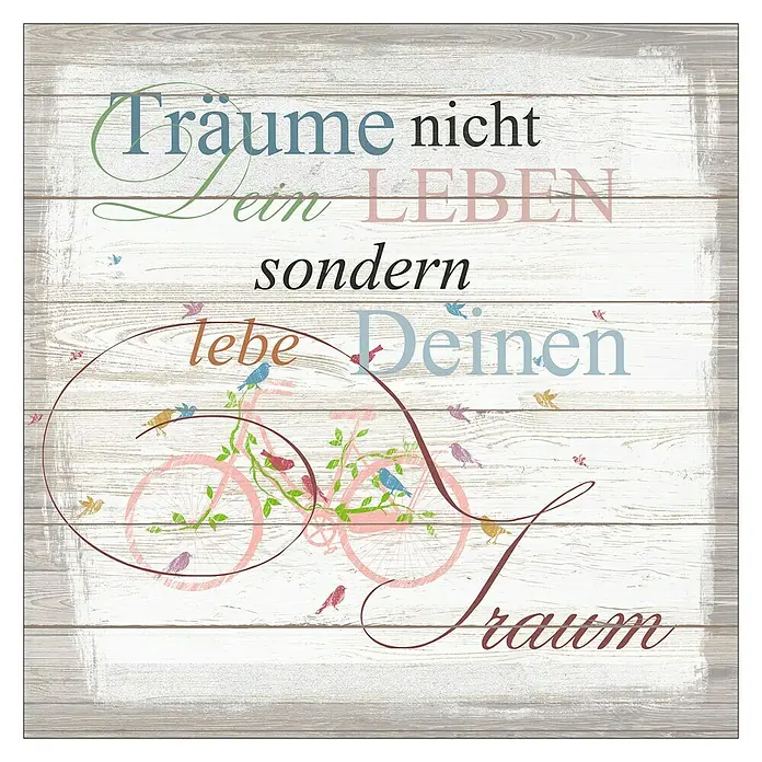 ProArt Type Hype Decopanel - Träume nicht dein Leben ..., B x H: 30 x 30 cm - Dekorative Holztafel mit einem Fahrrad und der Aufschrift "Träume nicht dein Leben, sondern lebe Deinen Traum".