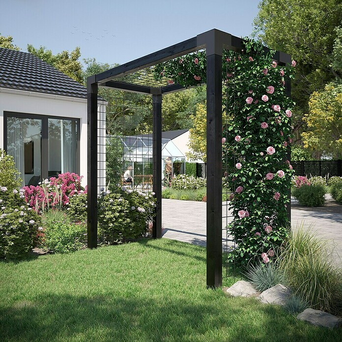 Plus Pergola Rosen (L x B x H: 198 x 108 x 208 cm, Holz, Schwarz RAL 9005) | BAUHAUS