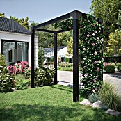 Plus Pergola Rosen (L x B x H: 198 x 108 x 208 cm, Holz, Schwarz RAL 9005) | BAUHAUS