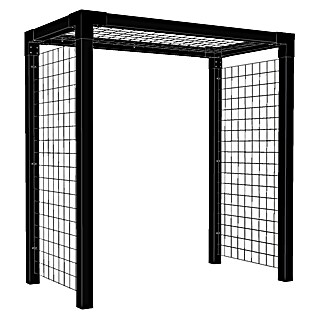 Plus Pergola Rosen (L x B x H: 198 x 108 x 208 cm, Holz, Schwarz RAL 9005)