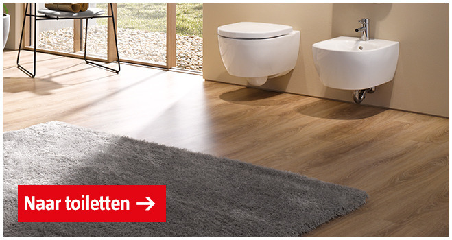 Toilet-in-badkamer