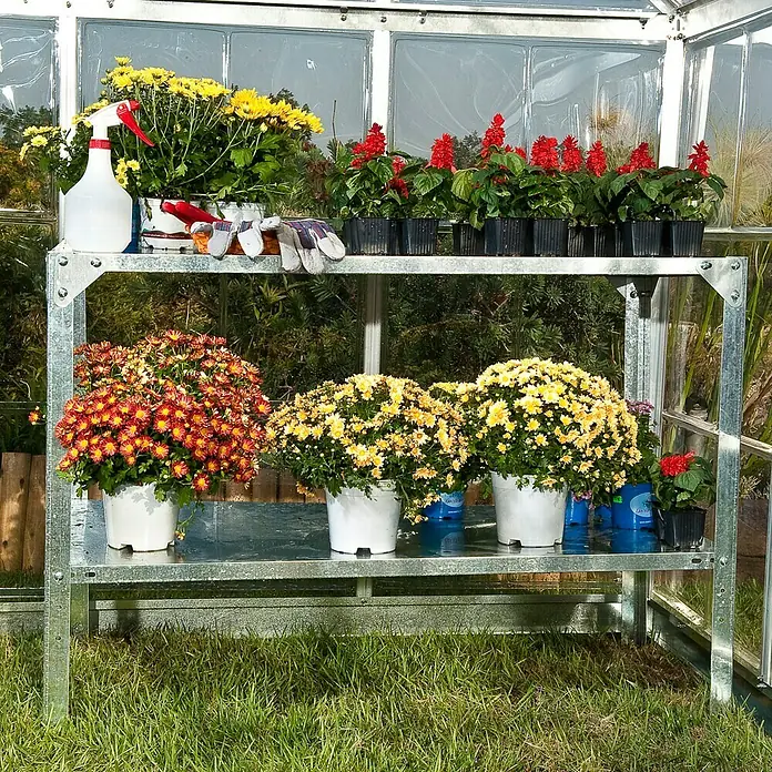 Palram – Canopia Gewächshaus-Tisch - L x B x H: 114 x 50 x 80 cm - Blumenregal im Gewächshaus mit Chrysanthemen, Salbei und einer Sprühflasche für die Pflanzenpflege.