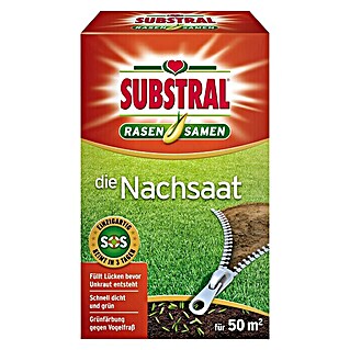 Substral Nachsaat-Rasen  (1 kg)