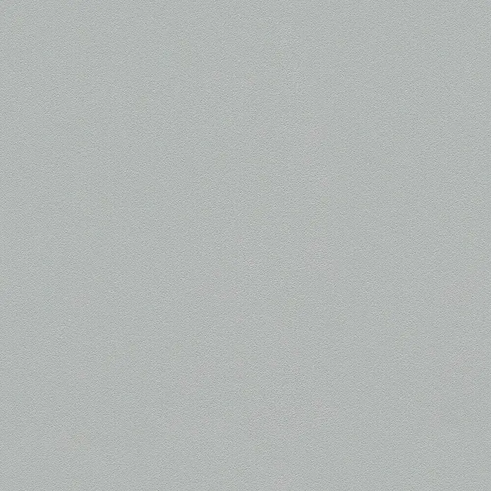 A.S. Création Vliestapete Glatte Wand Meistervlies 5 - Grau, Uni, 10,05 x 0,53 m - Graue Textur für Hintergründe und Grafiken, ideal für subtile Designs.