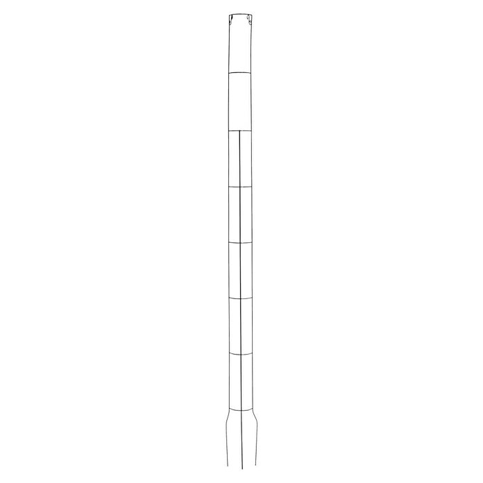 Bellissa Tomatensäule (1.600 mm)