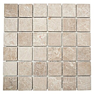 Mosaikfliese Quadrat XNT 46604 (30,5 x 30,5 cm, Beige, Matt)