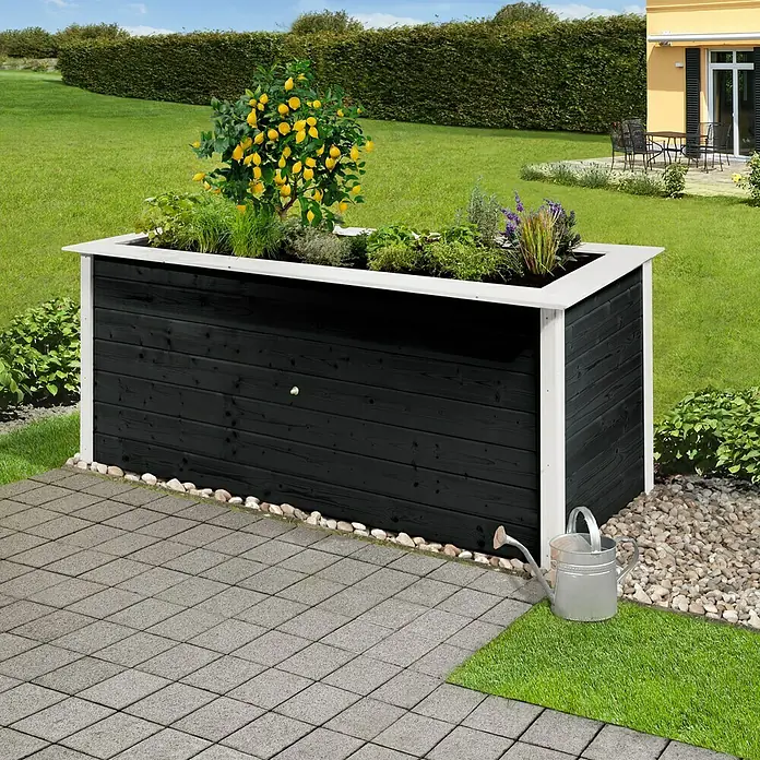Weka Hochbeet C - 205 x 80 x 81 cm, Holz, Anthrazit/Weiß - Bild eines schwarzen Hochbeets mit weißem Rand, bepflanzt mit Zitronenbaum und Kräutern, im Garten aufgestellt.