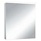 Led-spiegelkast Aluminio Light (b x h: 60 x 70 cm, Met verlichting, Aluminium)