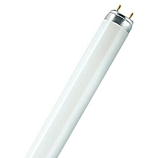 Osram Tubo fluorescente Skywhite (T8, Blanco frío, 36 W, Largo: 120 cm)