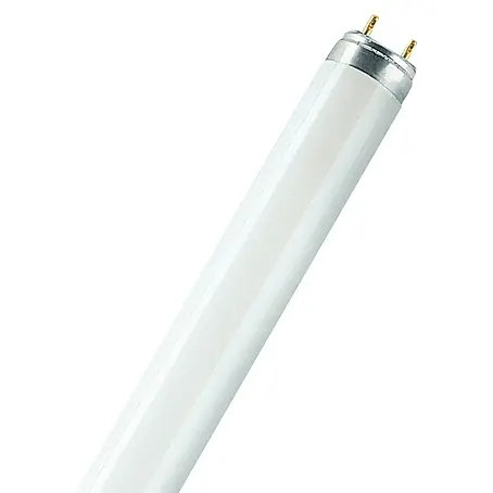 Osram  Tubo fluorescente Skywhite