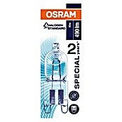 Osram Halogenlampe Halopin Oven (40 W, G9, 1 Stk., Warmweiß, Energieeffizienzklasse: D)