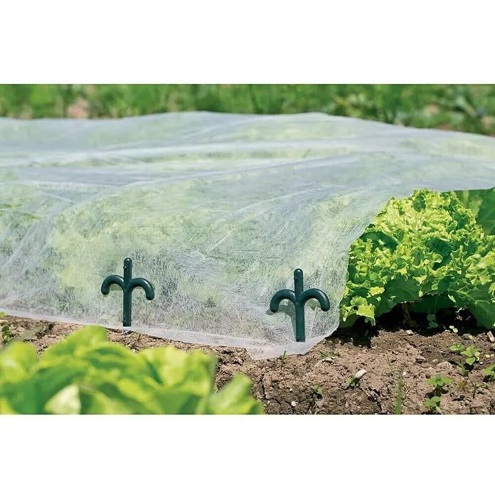 Gardol Vielzweckstäbe - 10 Stk. - Nahaufnahme von grünen Kunststoff-Gartenklammern, die eine weiße Gartenvliesabdeckung über Salat halten. Schützt vor Frost und Schädlingen.