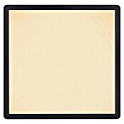 Globo LED stropna svjetiljka Sapana  (18 W, D x Š x V: 29,4 cm x 29,4 cm x 25 mm, Crna) | BAUHAUS