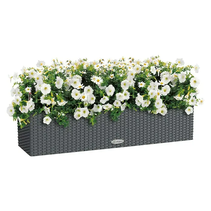 Lechuza Cottage Balkonkasten Balconera - Max. Außenlänge: 80 cm, Kunststoff, Granit - Blumenkasten mit weißen Blumen. Der Lechuza Blumenkasten ist aus grauem Kunststoffgeflecht und mit üppigen weißen Blüten bepflanzt.