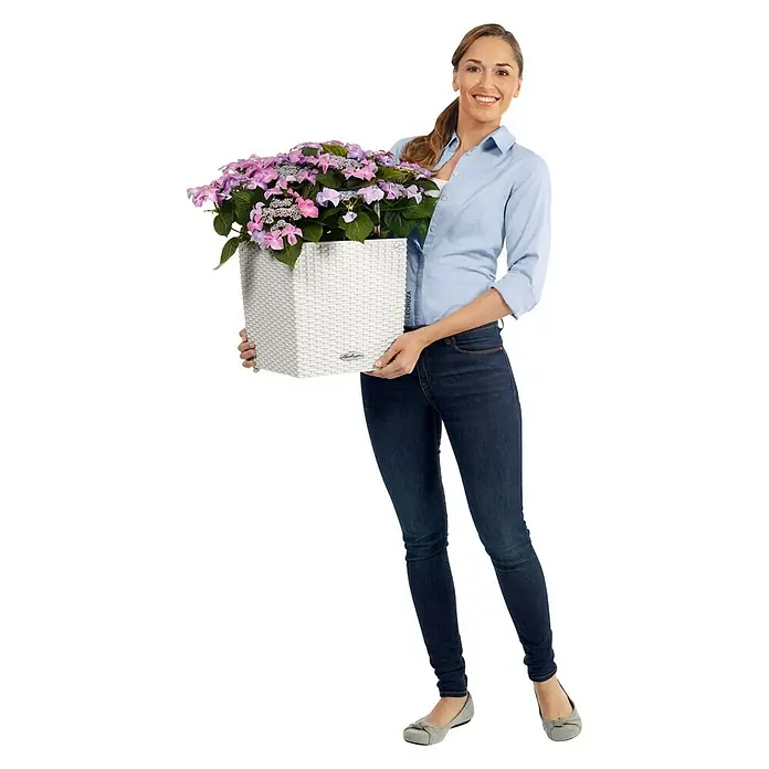 Lechuza Cottage Pflanzkübel eckig CubeAußenmaß (L x B x H): 30 x 30 x 30 cm, Kunststoff, Weiß - Frau hält einen weißen Lechuza Cube Pflanzkübel mit lila Hortensien. Der Pflanzkübel hat ein modernes, gewebtes Design und ist ein echter Hingucker.