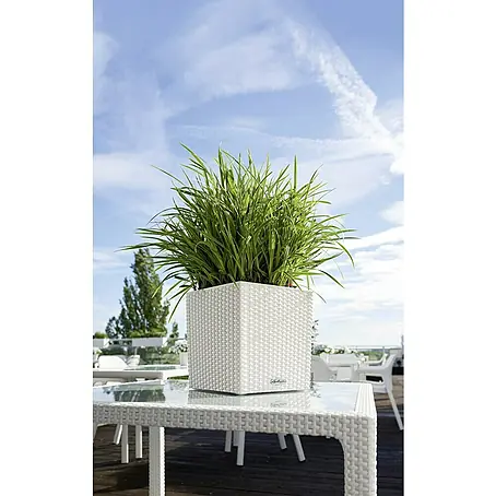 Rattan Blumentopf gnstig kaufen | BAUHAUS
