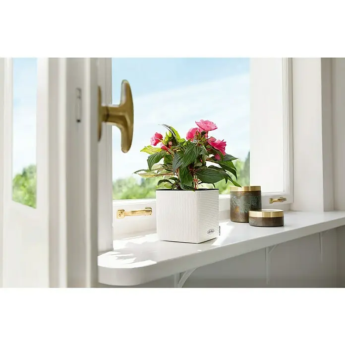 Lechuza Classico Kräutertopf Color - Außenmaß (L x B x H): 17 x 17 x 16 cm, Kunststoff, Weiß - Nahaufnahme eines Lechuza-Pflanzgefäßes mit rosa Blumen auf einer Fensterbank, das elegante Design und die frische Blüten hervorhebt.