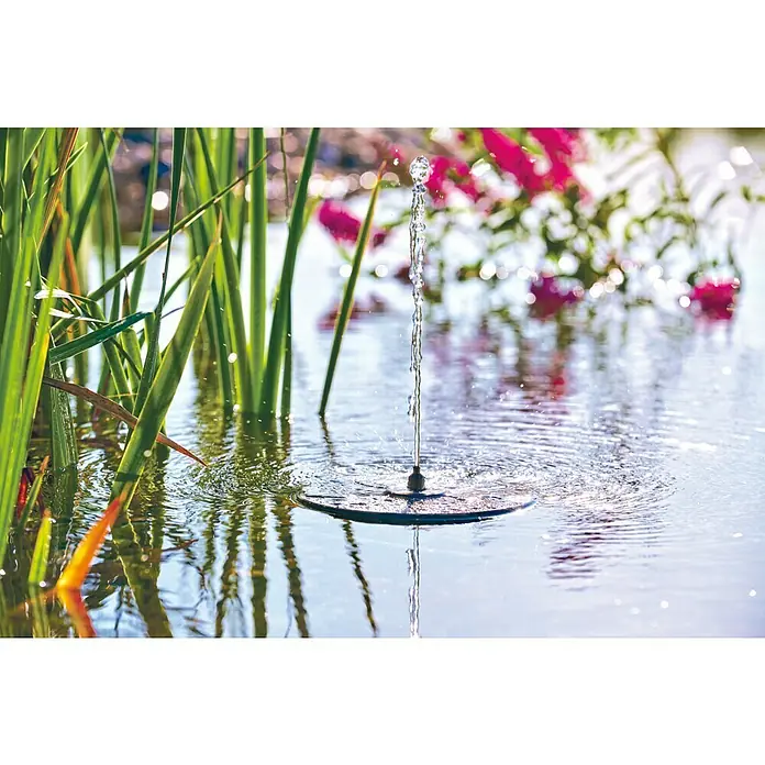 Pontec Solar-Teichpumpe - Leistung: 2,5 W - Nahaufnahme eines Solarbrunnen im Teich, der eine kleine Wasserfontäne erzeugt, umgeben von grünen Pflanzen und rosa Blüten.