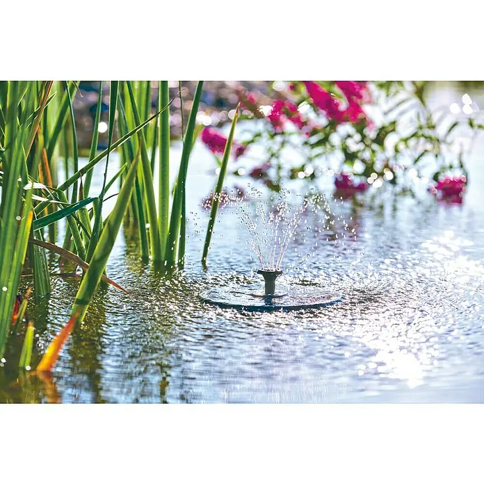 Pontec Solar-Teichpumpe - Leistung: 2,5 W - Nahaufnahme eines Solarbrunnens im Teich mit grünen Pflanzen und rosa Blumen.
