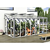 Vitavia Gewächshaus (2,66 x 4,6 x 2,39 m, Farbe: Weiß, Einscheibensicherheitsglas (ESG))