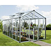 Vitavia Gewächshaus Zeus 13800 (5,38 x 2,56 x 2,5 m, Farbe: Aluminium, Einscheibensicherheitsglas (ESG), 3 mm)
