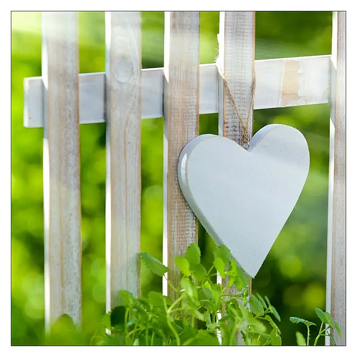 Glasbild - Lovely Garden I, B x H: 20 x 20 cm - Herzförmige Dekoration aus Holz, aufgehängt an einem Gartenzaun, umgeben von grünen Pflanzen. Ideal für die Gartengestaltung.