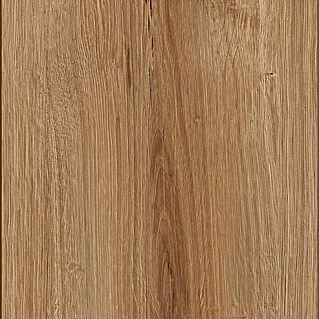MyStyle MyDream Uzorak laminata Golden Vista Oak (200 x 195 x 14 mm, Rustikalni pod)