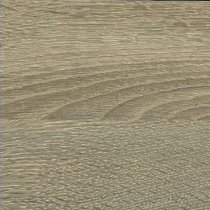 Spanplatte nach Maß I - Stärke: 19 mm, L x B: 280 x 207 cm, Sonoma Eiche - Holzstruktur in hellbraunen Farbtönen, ideal für Möbel oder Bodenbeläge. Elegante Maserung für ein natürliches Ambiente.